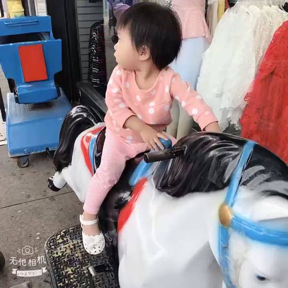 crystalpigpig